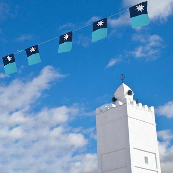 Minnesota hand wave flag-Minnesota State Flag, MN Flags for Outside with Vibrant Print,50% Offer
