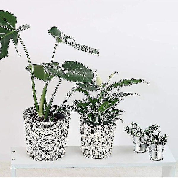 20 stk. Mini Metal Spand Miniature Blomsterkrukke Vaser Plantekasser Smuk Æske Til Bryllupsfest