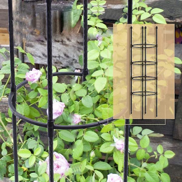 Blomkruka stöd bur, monterad rund stödring, tomatbur, pelare