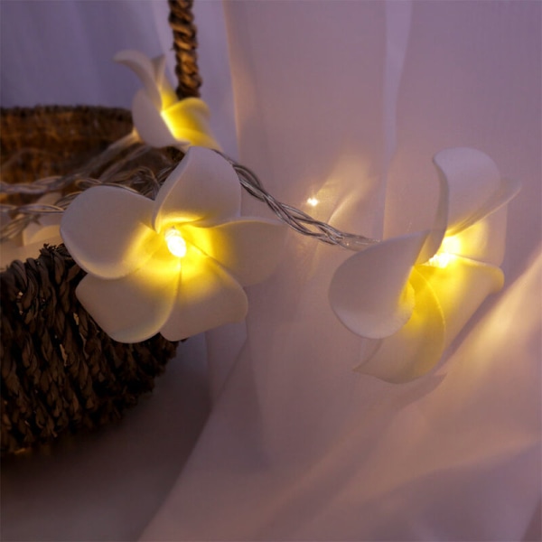 Frangipani - Batteridrivna konstgjorda ljusslingor, för julfest, familjebröllop, strand-gul10lampor
