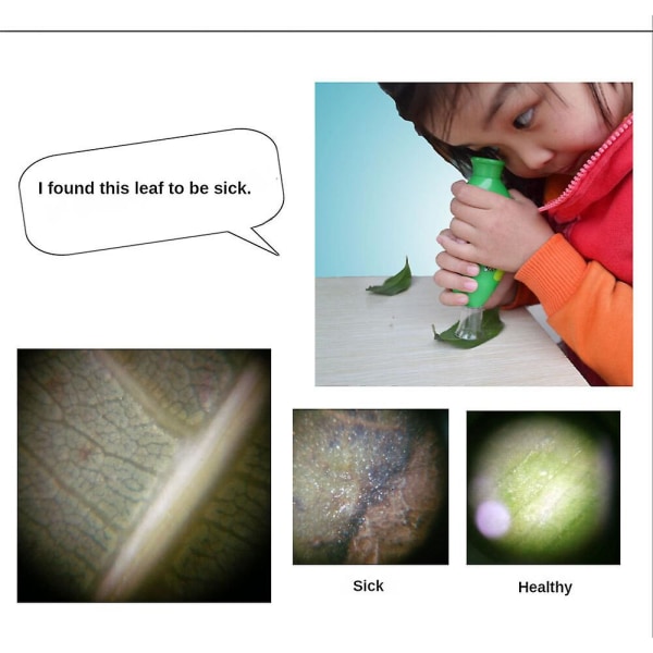 Hyönteisten havainnointilelu, kannettava lasten mikroskooppi, tieteellinen koulutuslelu