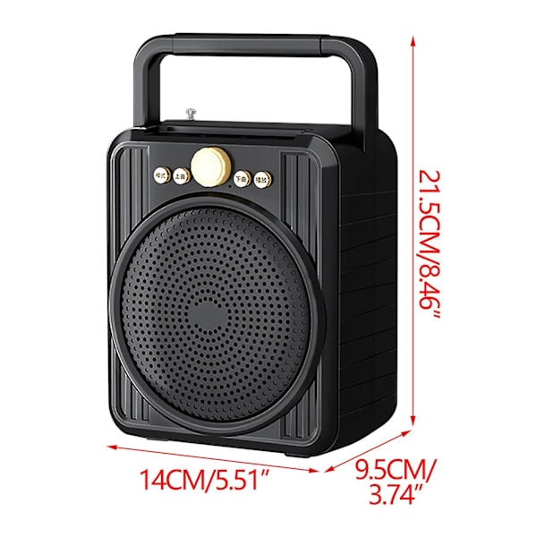 Dans trådlös Bluetooth-högtalare FAN0352 (svart)
