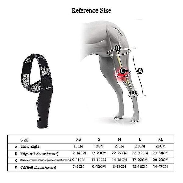 Knæstøtte til kæledyrshund til Acl knæskalsforstuvning gigt holder leddet varmt ekstra støtte（M）