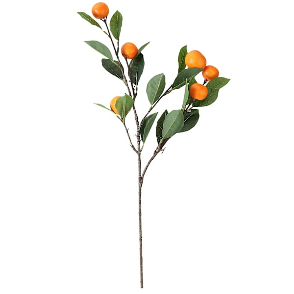Kunst Kunstig Plast Appelsin Frukt Gren Blomst Hage Hjem Husholdning Dekor