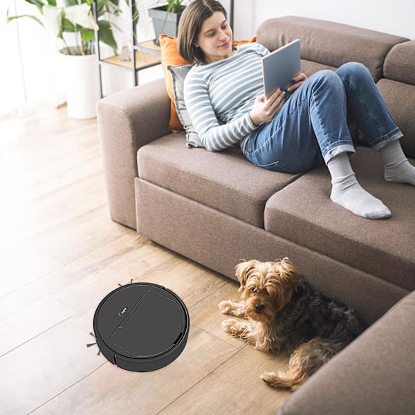 Intelligent Sweeping Robot Helt Automatisk Sopning Och Dragande Integrerad Laddning USB Hem Dammsugare Star Treasure FAN0477（Svart）