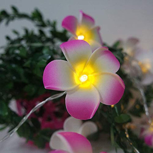 Frangipani - Konstgjorda ljusslingor, batteridrivna, för julfest, familjebröllop, strandrosa40lampor