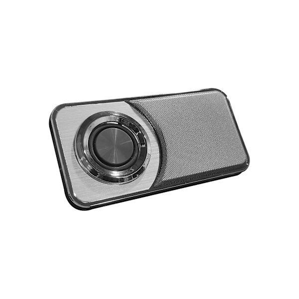 Bluetooth-högtalare Trådlös Bärbar Högtalare Med Stereoljud R-ich Bass Inbyggd Mikrofon FM Radio Högtalare（Grå）