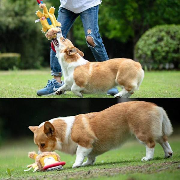 Phony Toy Squeaky Plysch Dragleksak för Hund, Tugga Skyddsteknik Dra Interaktion Molar Dentifrication Bite Resistance Medium till Stora Hundar En Födelsedagspresent