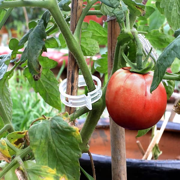 200 st tomatklämmor, plastspaljéklämmor växtstöd