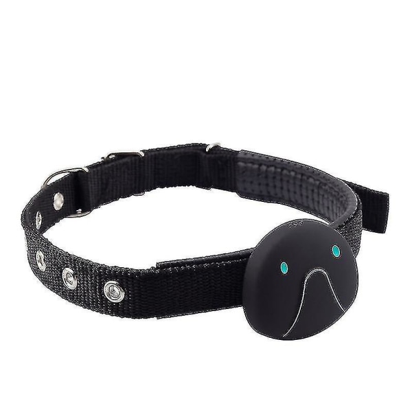 Smart Gps Katt & Hundhalsband Gps Tracker (svart)