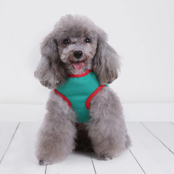 Hundkostym Husdjur Julkläder Katt Hund Julkläder Outfits (L)