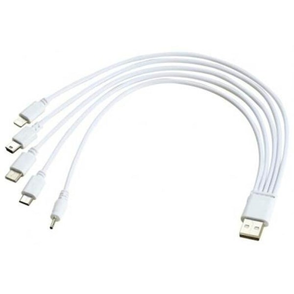 5 i 1 USB-laddningskabel för Micro 8-stifts typ Mini DC 2,0 mm-port vit (standard)