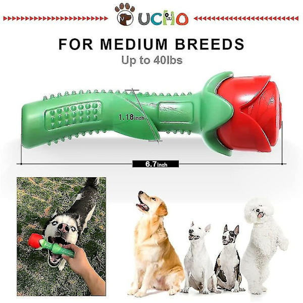 Hundbitresistent Molarstick - Rosa