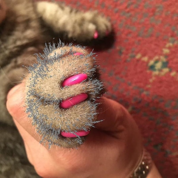 40 stk myke kattehundspikerkapper Pet Poteklobeskytter negledeksel med gratis limpåføring（M）