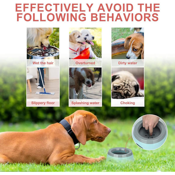 Flytande vattenskål för husdjur, Anti-overflow Anti-choking Non Spill Vattenskål för hund katt (blå)