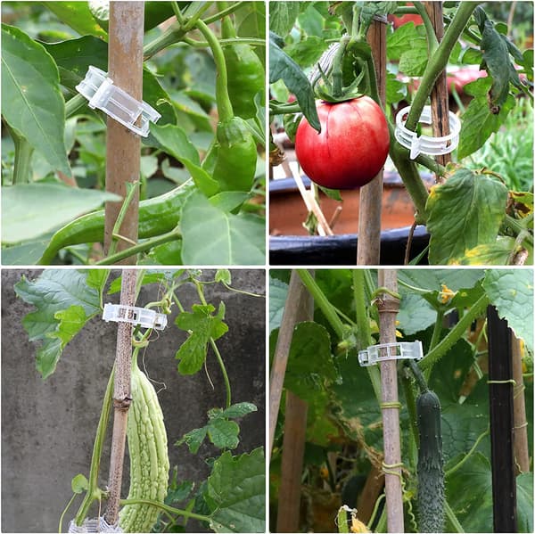 200 st tomatklämmor, plastspaljéklämmor växtstöd