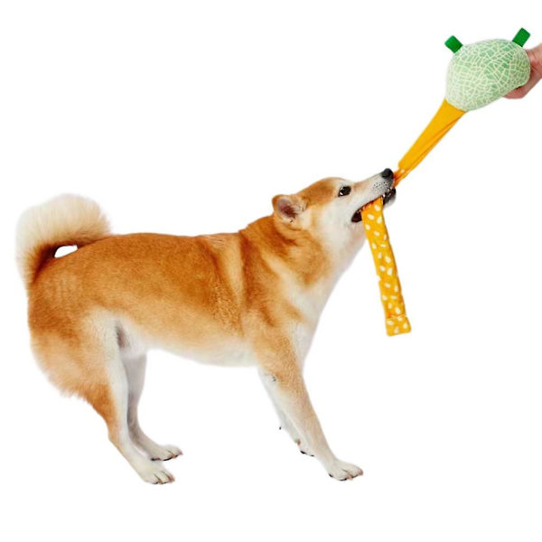 Hundleksaker, pipiga leksaker leksaker husdjur plyschleksaker, husdjur pip mjuk hund husdjur bit interaktiv dragkamp tandprotes leksak molar tänder tänder tänder bit