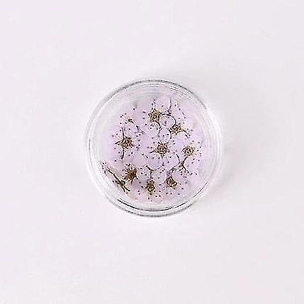 Hvide farverige naturlige tørrede blomster til neglekunstdekorationer
