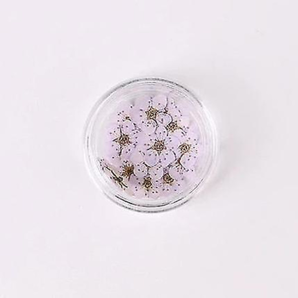 Hvite fargerike naturlige tørkede blomster for neglekunstdekorasjoner