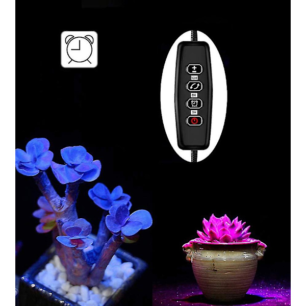 Led plantelampe klemme med 24h automatisk timerkontakt, dæmpbar