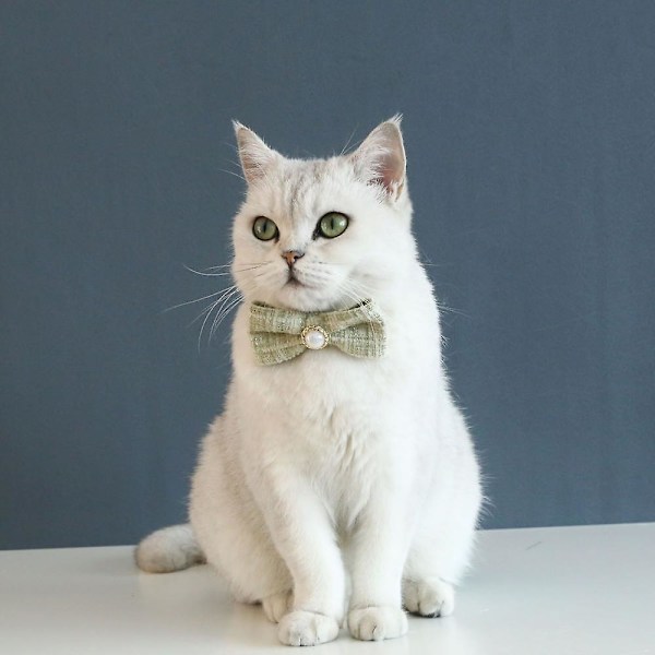 Katt leksak, fluga, klocka och justerbar krage för interaktiv lektid och vardagskläder inomhus husdjur leksaker lätt och mjuk säkerhetskonstruktion Kitti
