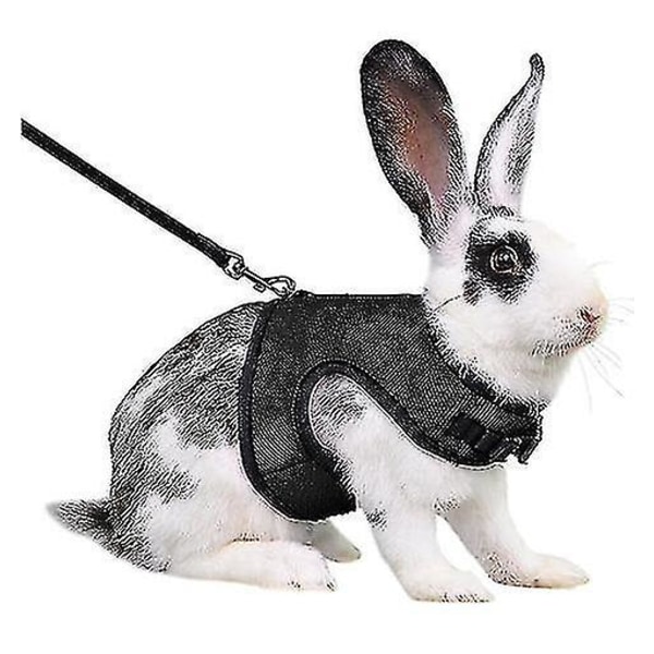 Adjustable Rabbit Harness Breathable Mesh Rabbit Harness Walking Jogging Harness For Rabbit Kitten CYV（XL，Black）