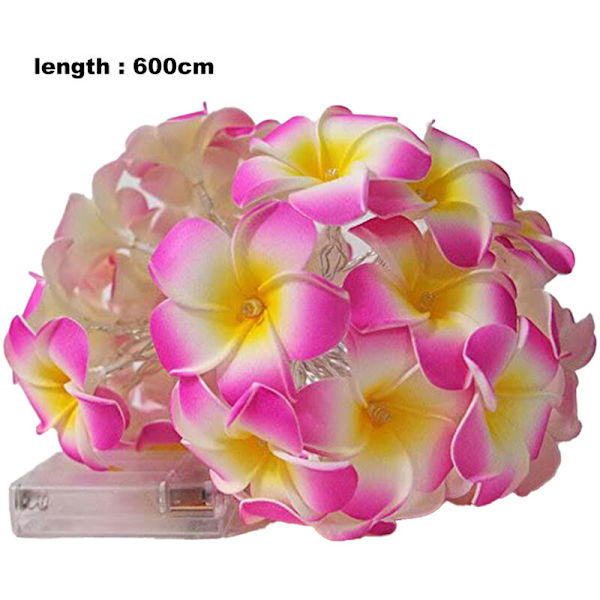 Frangipani - Konstgjorda ljusslingor, batteridrivna, för julfest, familjebröllop, strandrosa40lampor
