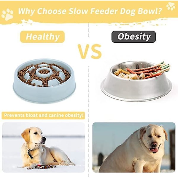 Långsam matningsskål för hundar Anti-Glutton Cat Slow Feeding Bowl halkfri långsam matsmältning förebyggande Blo