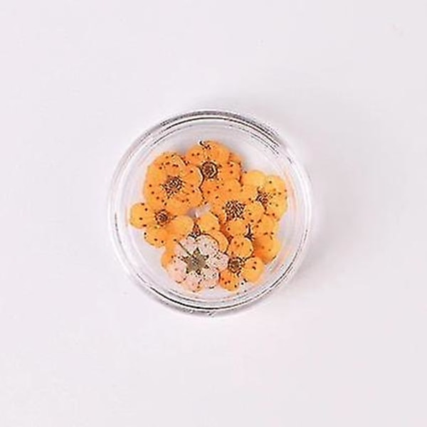 Gula färgglada naturliga torkade blommor för nail art