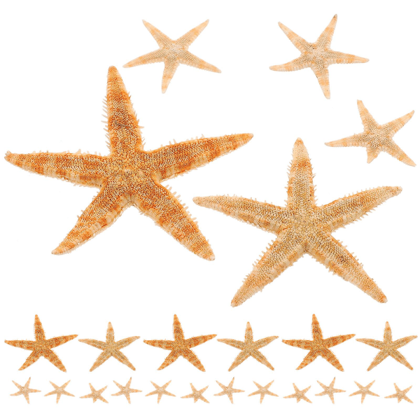 100 stykker sjøstjerne dekorativt skalldekorasjon dekorativt skalldekorasjon DIY sjøstjerne dekorativt skalldekorasjon (4,5X4,5 cm, som vist på bildet)