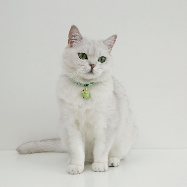Katt leksaker, Multifunktionella katt leksaker justerbara, Säkerhetsspänne Multifunktionella, Ljusa färger Kombinera med din katt med en interaktiv lekpresent