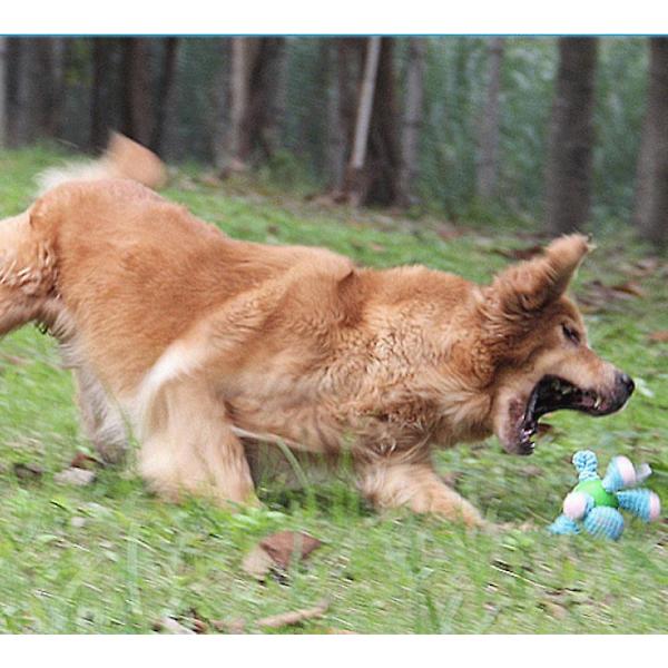 Horrain Squeaky Plysch Hund Leksak, Hållbar Tugga Leksak Fylld Djur, Bomullsmaterial, För Små Hundar, Interaktiv Dragleksak För Små Medelstora Husdjur
