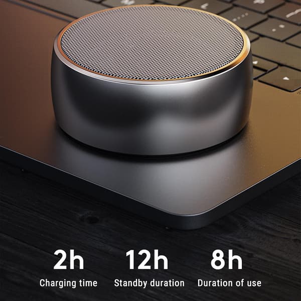 Bärbar högtalare Bluetooth-högtalare Bluetooth 5.0 Även AUX-kabel (Silver)