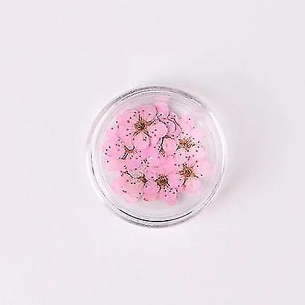 Ljusrosa färgglada naturliga torkade blommor för nagelkonstdekorationer
