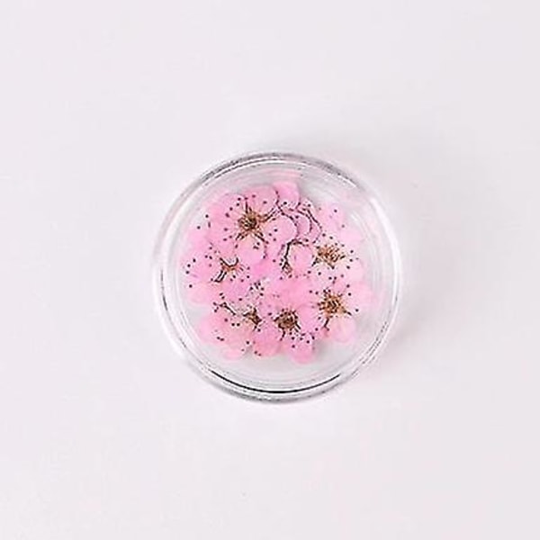 Lyserød farverige naturlige tørrede blomster til neglekunstdekorationer