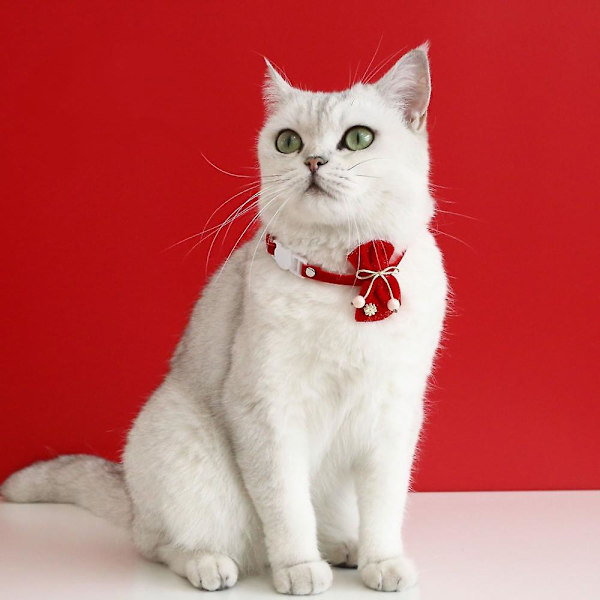 Katt leksak, fluga, klocka och justerbar krage för interaktiv lektid och vardagskläder inomhus husdjur leksaker lätt och mjuk säkerhetskonstruktion Kitti