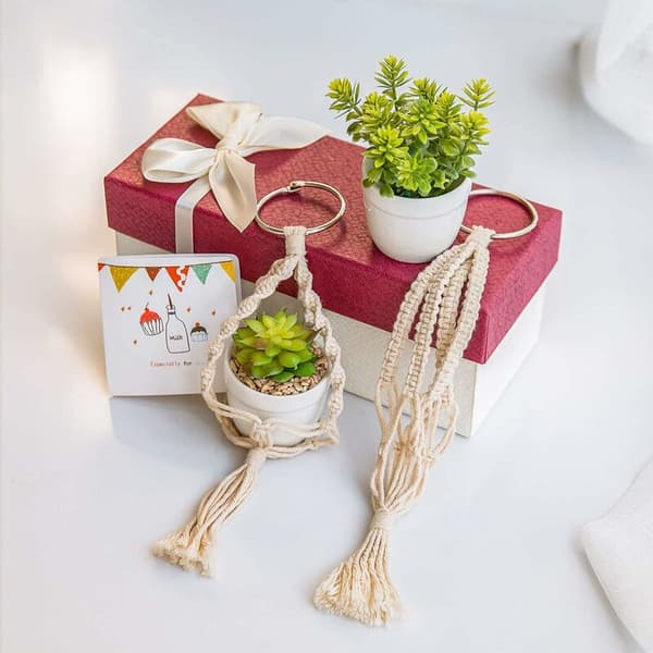 Set med 2 Mini Macrame Växt Hängare för Vägg Entré, Hemmakontor