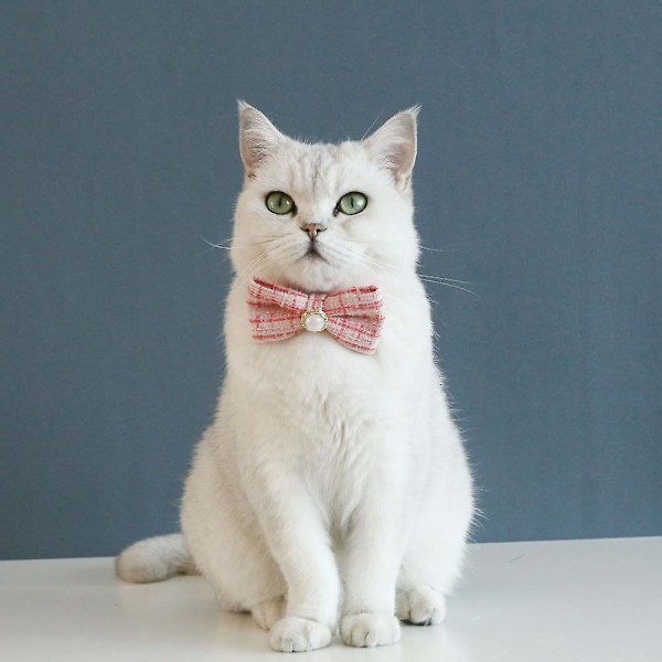 Katt leksak, fluga, klocka och justerbar krage för interaktiv lektid och vardagskläder inomhus husdjur leksaker lätt och mjuk säkerhetskonstruktion Kitti