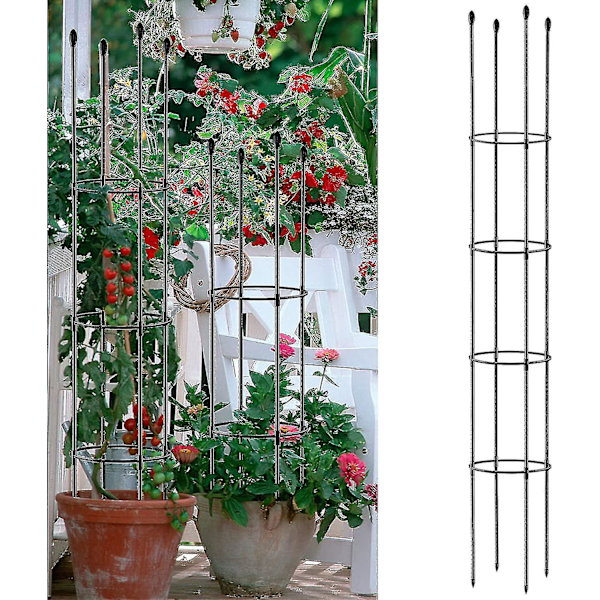 Blomkruka stöd bur, monterad rund stödring, tomatbur, pelare