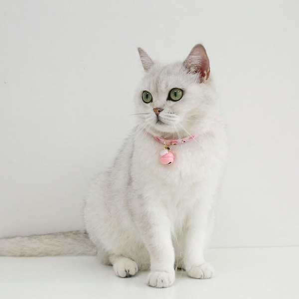 Katt leksaker, Multifunktionella katt leksaker justerbara, Säkerhetsspänne Multifunktionella, Ljusa färger Kombinera med din katt med en interaktiv lekpresent
