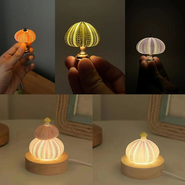 2023Ny dekorativ lampe Simulert sjøpindsvin skall og simulert sukkulent plante Studie soverom dekorasjoner Resin nattlys（Grønn）