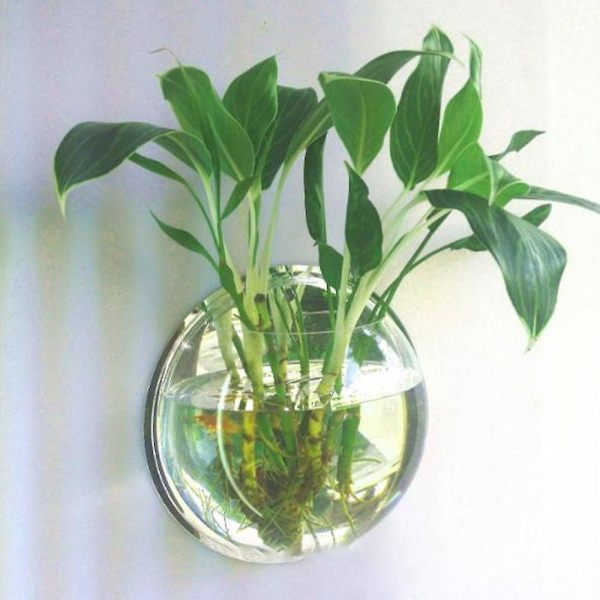 Vægmonteret fiskebeholder Guldkar skål Vase Akvarium Blomsterpotte - Transparent Akryl Moderne Hjemmeindretning (26cm)（A2，Hvid）