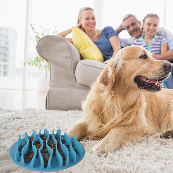 Pet Fun Mat Langsom Bærbar Hundefoder Skål, Interaktiv Hundeskål, Blå