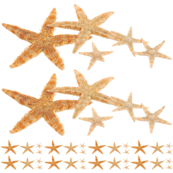 100 stykker sjøstjerne dekorativt skalldekorasjon dekorativt skalldekorasjon DIY sjøstjerne dekorativt skalldekorasjon (4,5X4,5 cm, som vist på bildet)