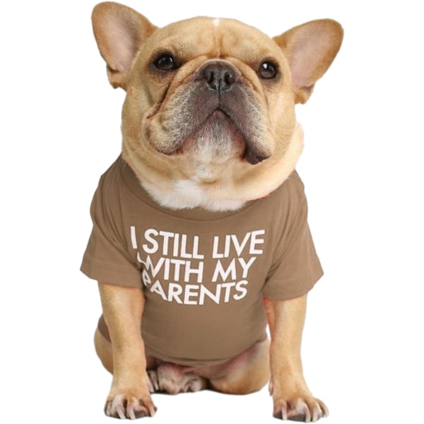 Söta hundkläder, hund T-shirt medium hund. Hundkläder för valpar,