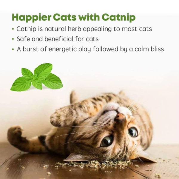 Cat Toy Interactive Cat Toy, kattemynteleker for katter, kattetyggleke, kattemynteleker