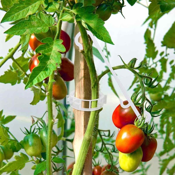 150 Pcs Tomato Clips, Plant Support Clips and J Tomato Hooks, Plastic Trellis Clips Vegetable Cages Vine Garden Clips for Tomato Cucumber Grape