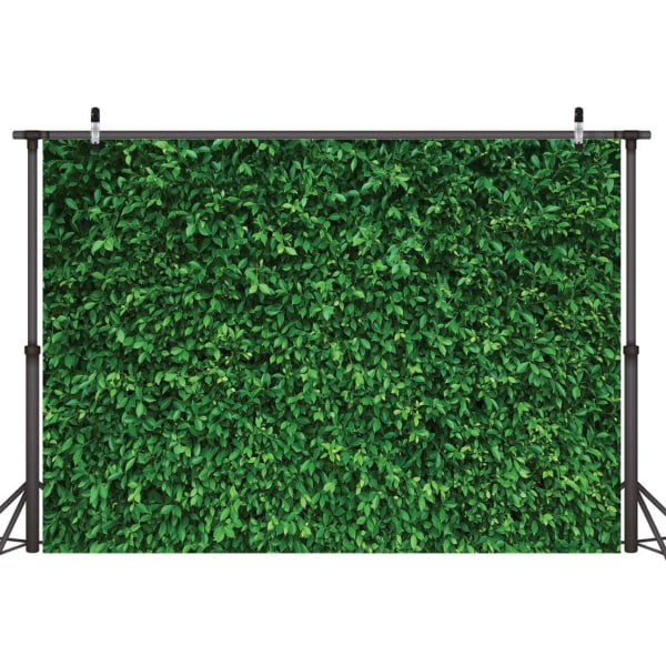 Gröna löv bakgrund gräs vägg foto monter bakgrund