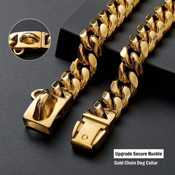 Starka hundhalsband i guld i rostfritt stål med säkerhetsspänne