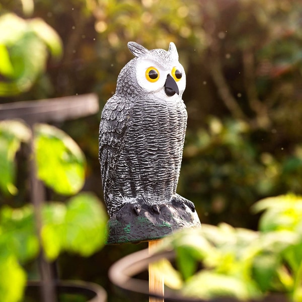 Fågelskrämma Fake Owl Decoy - Avvisande trädgårdsskydd